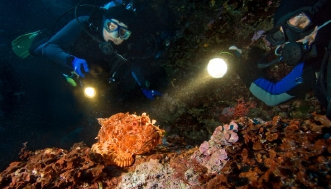 Two diwers and scorpionfish