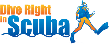 Dive Right In Scuba - Scuba Diving Blog