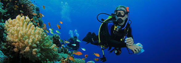 Blog on Scuba Diving and techreational diving image